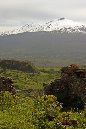 Read all: Etna and gastronomy